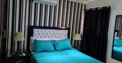 Apartamento Amueblado Autopista de San Isidro